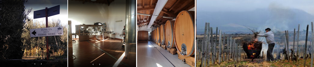 tenuta delle terre nere Sicílie 3